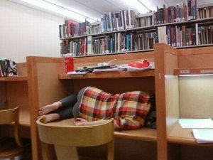 sleeping-in-library-12
